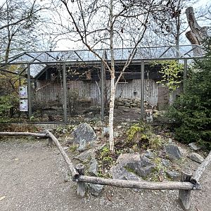 Temminck’s Tragopan & Lord Derby’s Parakeet Aviary