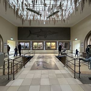 Aquarium Upper Level