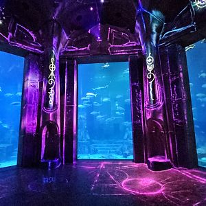 Big tank viewing windows