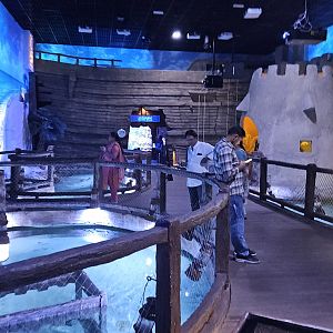 The National Aquarium Abu Dhabi