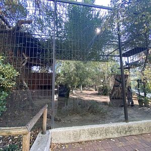 Eurasian eagle owl aviary