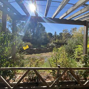 Iberian lynx enclosure view 1