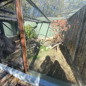 2nd European mink enclosure