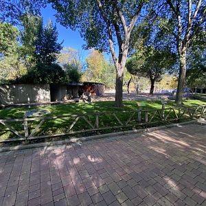 1st view of European bison enclosure