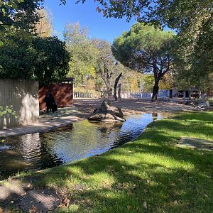 European bison enclosure