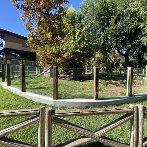 2nd red panda enclosure