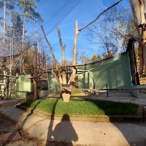 Future lemur exhibit