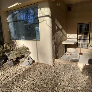 Big hairy armadillo exhibit