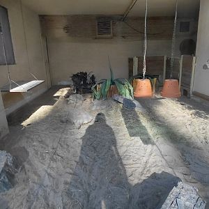 Tortoise indoor exhibit