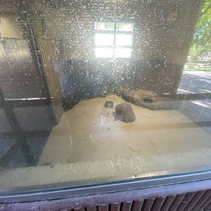 2nd half of indoor giant anteater enclosure