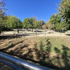 Mixed South American enclosure