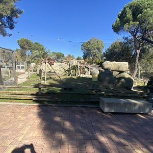 Ring-tailed lemur enclosure