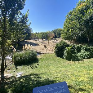 2nd view of mixed South American enclosure