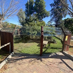 2nd view of black and white-ruffed lemur enclosure
