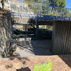 Former leopard enclosure