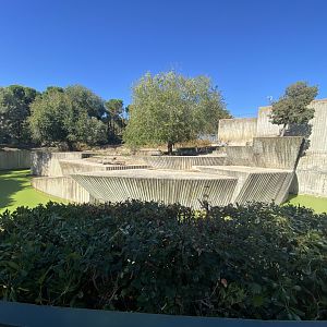 1st view of Asiatic lion enclosure
