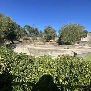 2nd view of Asiatic lion enclosure