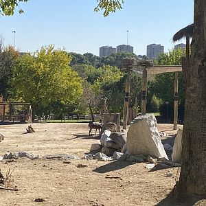 1st view of mixed African enclosure