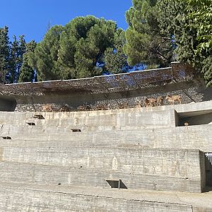 Top of Barbary sheep enclosure