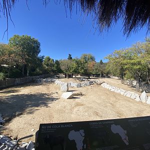 3rd view of mixed African enclosure