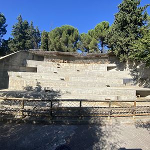 Barbary sheep enclosure
