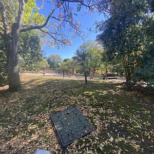 1st view of Bactrian camel enclosure