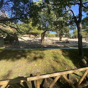 2nd view of Bactrian camel enclosure