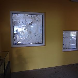 New area Biodiversity fo Europe - Bird indoor visitor area