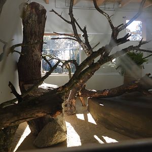 New area Biodiversity fo Europe - Indoor area for the birds of the "Subtropikum Aviary"