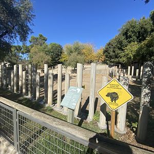 1st view of common hippo enclosure