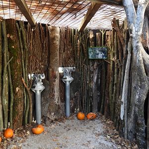 New area Biodiversity fo Europe - Binoculars with focus on the vulture aviary