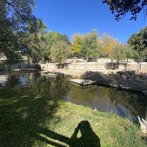 2nd view of common hippo enclosure