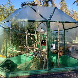 Ruffed lemur outdoor exhibit