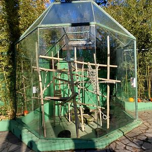 Black lemur outdoor exhibit