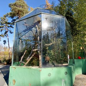 Siamang outdoor exhibit