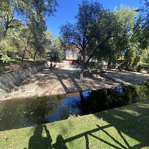 Western sitatunga enclosure