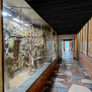 Inside the monkey house