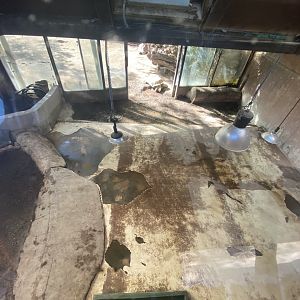 Indoor mixed tortoise enclosure