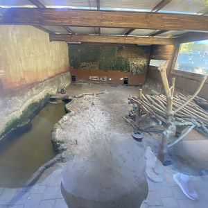 Indoor giant otter enclosure