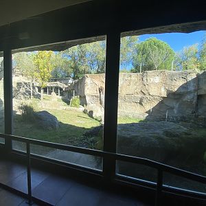 4th view of Outdoor Western Lowland gorilla enclosure