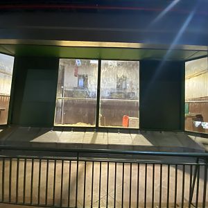 Indoor giraffe stalls