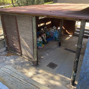 Decorated panda statues