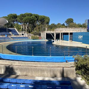 2nd Patagonian sea lion enclosure