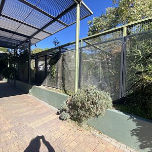 Bird aviaries