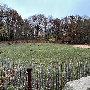 Eastern Gray Kangaroo & Emu Exhibit