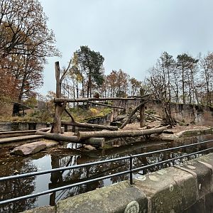 Guinea Baboon Exhibit