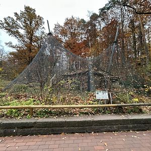 Crowned Lemur & Helmeted Guineafowl Exhibit