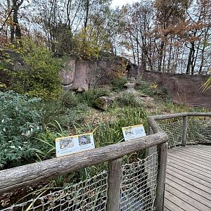 Mediterranean Mixed-species Exhibit (6 species)