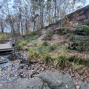 Mediterranean Mixed-species Exhibit (6 species)