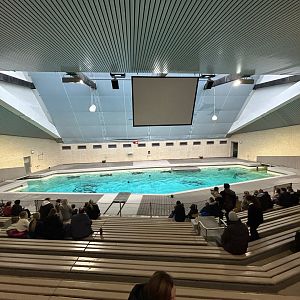 Dolphinarium